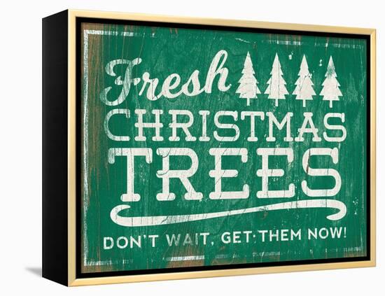 Holiday Wooden Signs I-Sd Graphics Studio-Framed Stretched Canvas