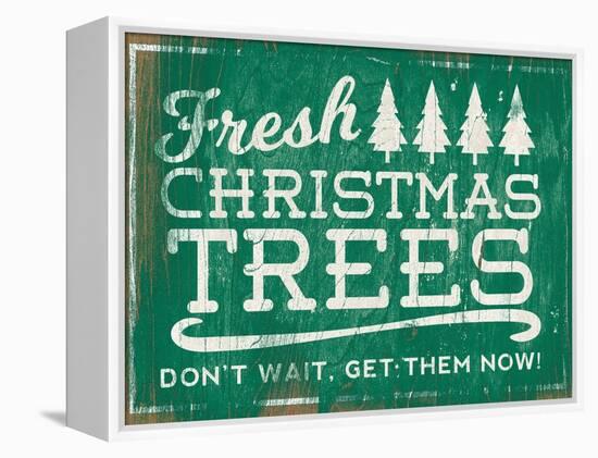 Holiday Wooden Signs I-Sd Graphics Studio-Framed Stretched Canvas