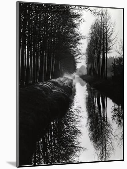 Holland Canal, 1973-Brett Weston-Mounted Photographic Print