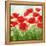 Holland Garden-Igor Levashov-Framed Stretched Canvas