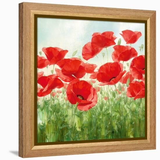 Holland Garden-Igor Levashov-Framed Stretched Canvas