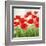 Holland Garden-Igor Levashov-Framed Art Print