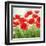 Holland Garden-Igor Levashov-Framed Art Print