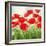 Holland Garden-Igor Levashov-Framed Art Print