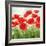 Holland Garden-Igor Levashov-Framed Art Print