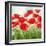 Holland Garden-Igor Levashov-Framed Art Print