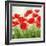 Holland Garden-Igor Levashov-Framed Art Print