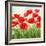 Holland Garden-Igor Levashov-Framed Art Print