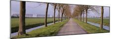 Photographic Print