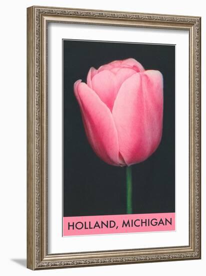 Holland, Michigan, Pink Tulip-null-Framed Art Print