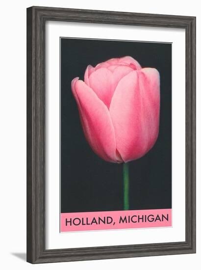 Holland, Michigan, Pink Tulip-null-Framed Art Print