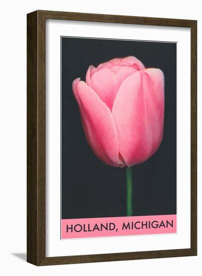 Holland, Michigan, Pink Tulip-null-Framed Art Print