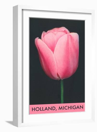 Holland, Michigan, Pink Tulip-null-Framed Art Print