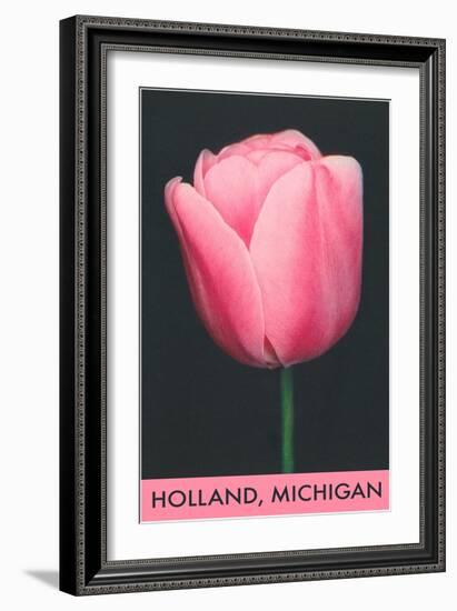 Holland, Michigan, Pink Tulip-null-Framed Art Print