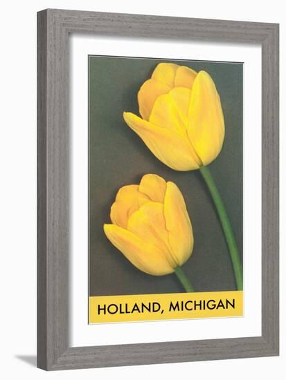 Holland, Michigan, Yellow Tulips-null-Framed Art Print