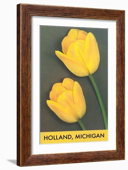 Holland, Michigan, Yellow Tulips-null-Framed Art Print