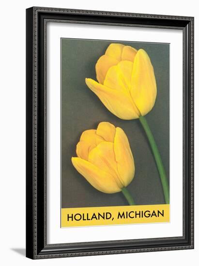 Holland, Michigan, Yellow Tulips-null-Framed Art Print