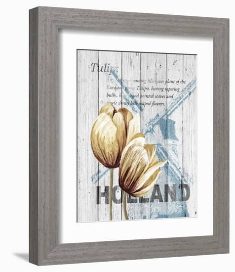 Holland Tulips-Alicia Soave-Framed Art Print