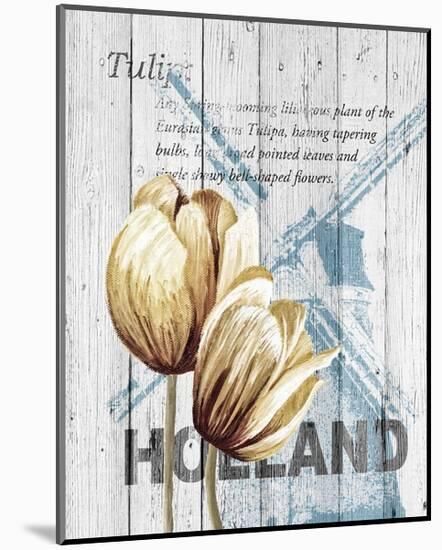 Holland Tulips-Alicia Soave-Mounted Art Print