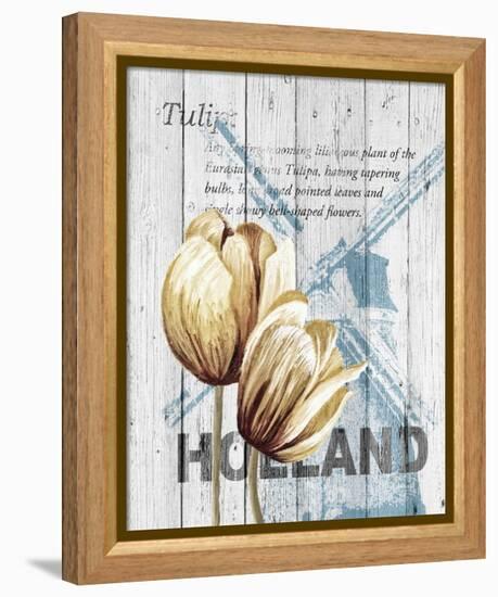 Holland Tulips-Alicia Soave-Framed Stretched Canvas