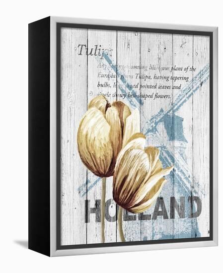 Holland Tulips-Alicia Soave-Framed Stretched Canvas