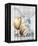 Holland Tulips-Alicia Soave-Framed Stretched Canvas