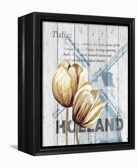 Holland Tulips-Alicia Soave-Framed Stretched Canvas