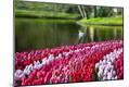 Premium Photographic Print