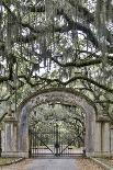 USA, Georgia, Savannah. Plantation gate at entrance-Hollice Looney-Photographic Print