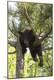 Premium Photographic Print