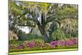 Premium Photographic Print