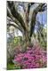 Premium Photographic Print