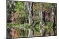 Premium Photographic Print