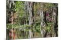 Premium Photographic Print