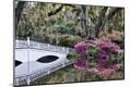 Premium Photographic Print