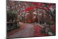 Premium Photographic Print