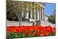 Premium Photographic Print