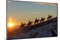 Premium Photographic Print