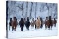 Stretched Canvas Print