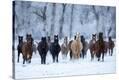 Stretched Canvas Print