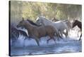Stretched Canvas Print