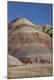 Premium Photographic Print
