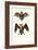 Hollow-Faced Bat, 1824-Karl Joseph Brodtmann-Framed Giclee Print