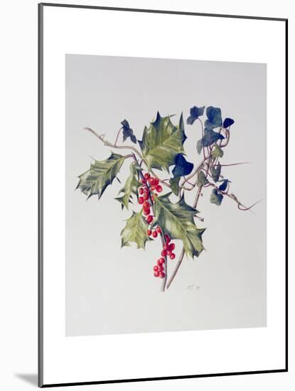 Holly and Ivy, 2001-Rebecca John-Mounted Giclee Print