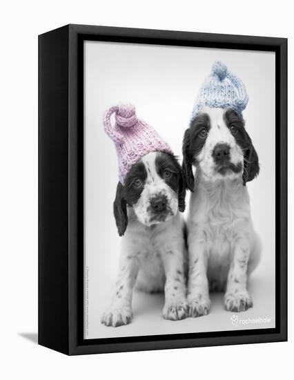 Holly and Mickey-Rachael Hale-Framed Premier Image Canvas