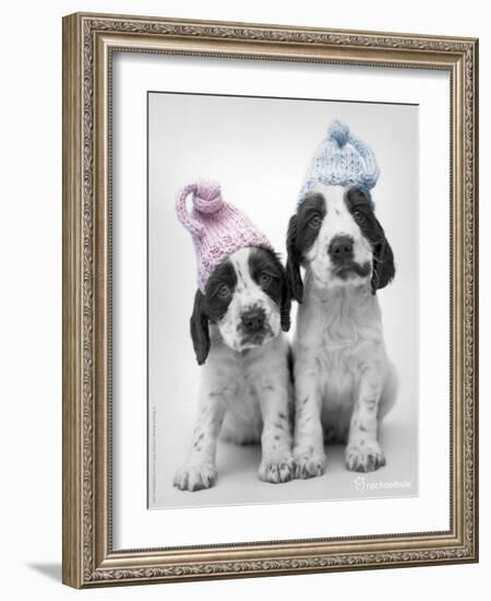 Holly and Mickey-Rachael Hale-Framed Photographic Print