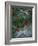 Holly Berries With Frost-Marilyn Parver-Framed Photographic Print