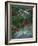 Holly Berries With Frost-Marilyn Parver-Framed Photographic Print