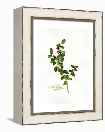 Holly Botanical, 2013-John Keeling-Framed Premier Image Canvas