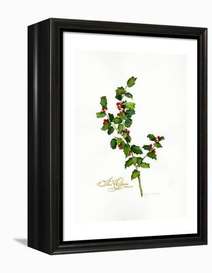 Holly Botanical, 2013-John Keeling-Framed Premier Image Canvas